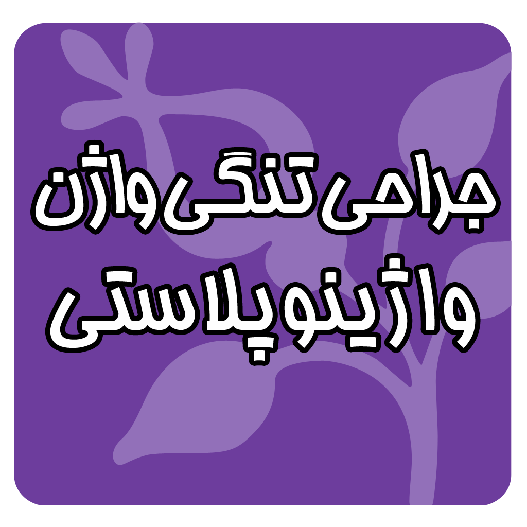 واژینوپلاستی